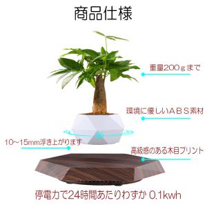 浮遊 フラワー 植物 ポット 六角形台座 フロ...の詳細画像5