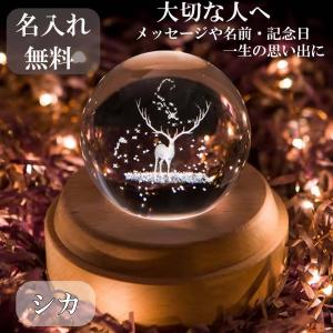 バカラ（Baccarat） フィギュリン いななく馬 クリスタルガラス 4115