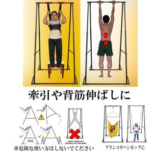 鉄棒 ぶら下がり 懸垂 トレーニング エクササ...の詳細画像2