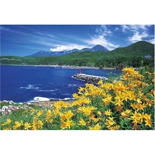300ピース エゾカンゾウ咲く入り江-知床 (26x38cm)