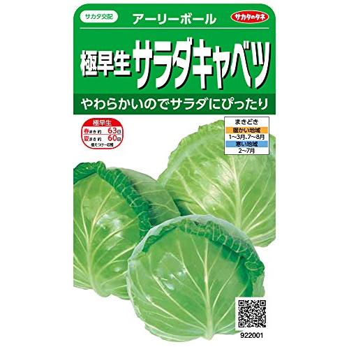 サカタのタネ 実咲野菜2001 極早生サラダキャベツ アーリーボール 00922001