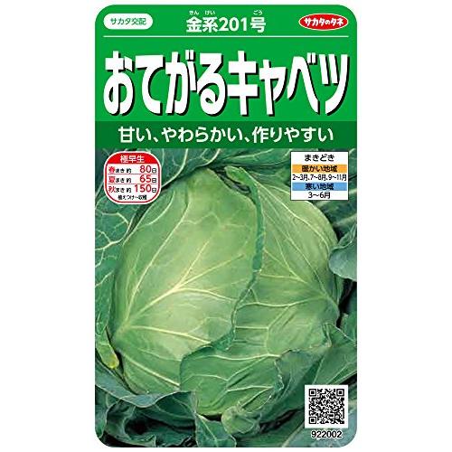 サカタのタネ 実咲野菜2002 おてがるキャベツ 金系201号 00922002