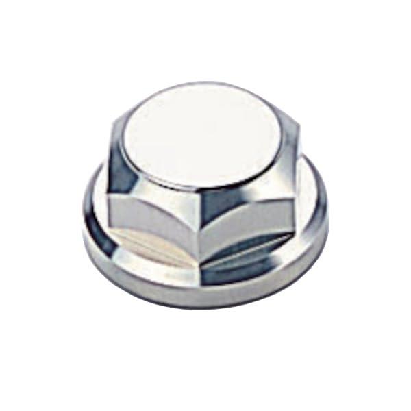 ハリケーン(HURRICANE) ステムナット (M22XP1.0) シルバー HT0804A