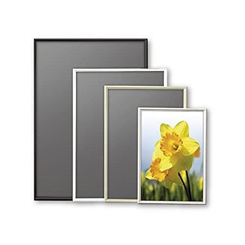 アルテ シェイプ A5 ゴールド SH-A5-GD