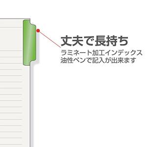 マルマン インデックス A4 2穴 インデック...の詳細画像2
