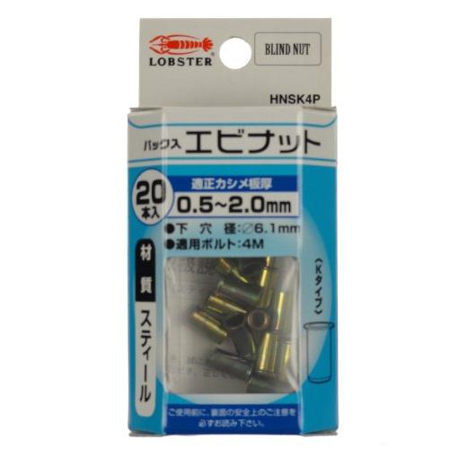 ロブテックス ナット スティール HNSK4P