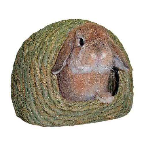 わらっこ倶楽部　かまくらハウス　Ｍ