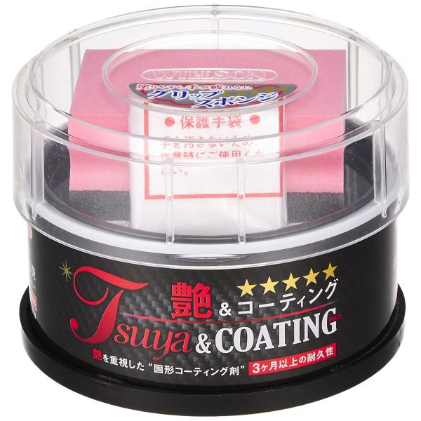 ウィルソン(WILLSON) 艶&amp;コーティング 250G 01262 [HTRC4.1]