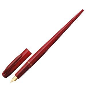 Pilot パイロット 万年筆 ライティブ F 細字 アクティブネイビー