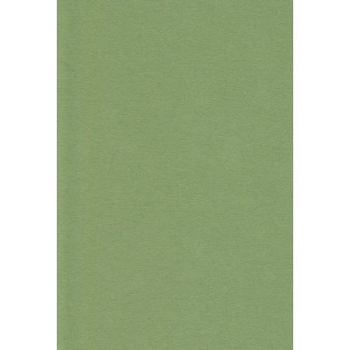 エスケント 色画用紙 A4 オリーブ 100枚 231606