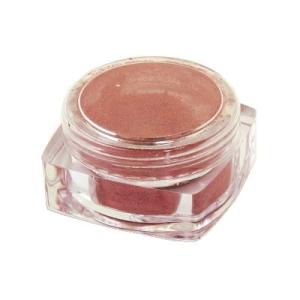 粘土用 ジュエリーパウダー ベーシックカラー レッド