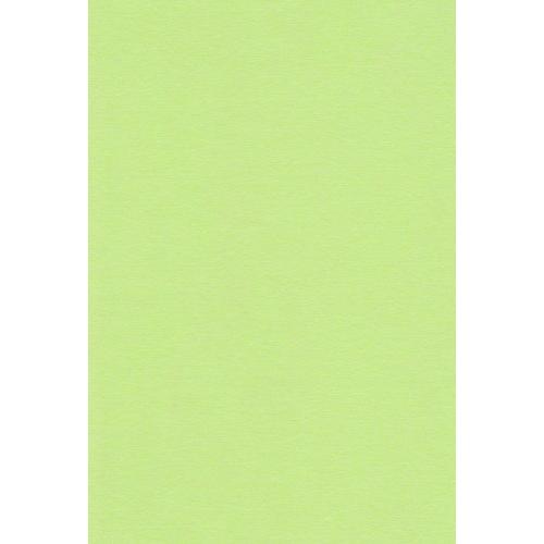 エスケント 色画用紙 四切 わかくさ 10枚 224310