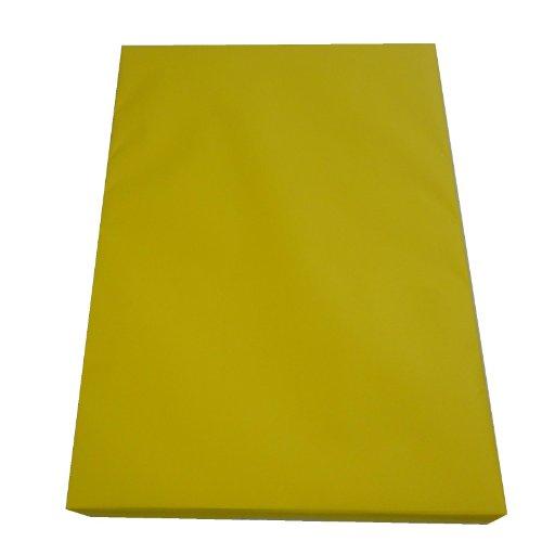 エスケント 水彩紙 ニューキャンバス No.210 四切 100枚 321004