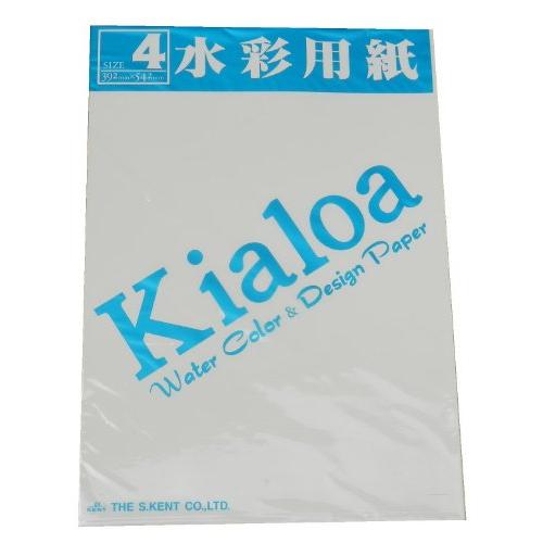 エスケント 水彩紙 キャロア水彩 No.500 四切 10枚 350010