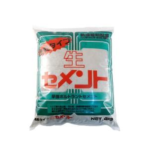 家庭化学 速乾生セメント グレー 4kg｜goodzero