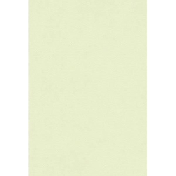 エスケント 色画用紙 A5 メロン 100枚 213350
