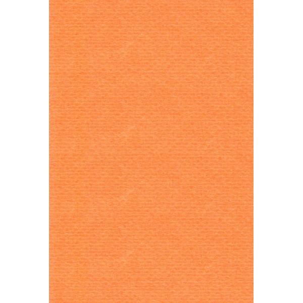 エスケント 色画用紙 リブカラー A5 オレンジ 100枚 27031501