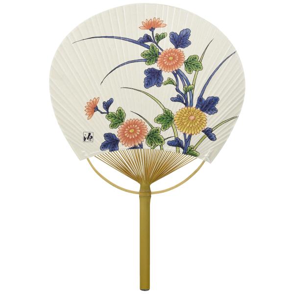 四国団扇 うちわ 男女兼用 源右衛門窯 菊絵 約28×41cm
