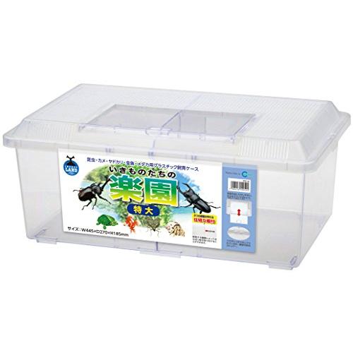 インセクトランド プラケース いきものたちの楽園 特大