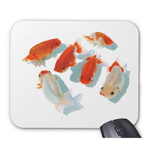 群れ泳ぐらんちゅうのマウスパッド：フォトパッド（ 金魚シリーズ ） (マウスパッド)