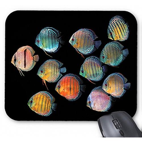 ワイルド・ディスカスのマウスパッド：フォトパッド（ 世界の熱帯魚シリーズ ）