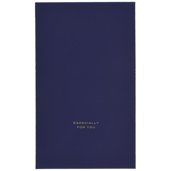 ギフトバッグ 梨地 ネイビー/紺-SS (50枚) EVN-BSS