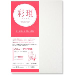 PCM竹尾 プリンタ用紙 彩現 メニュー・POP用 A4 ミランダ スノーホワイト 1742094