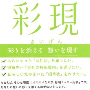 PCM竹尾 プリンタ用紙 彩現 レター用 A4...の詳細画像1