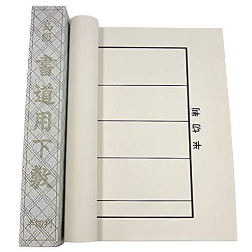 書道用 下敷き 樹脂罫入ベージュ 名前枠有り 半切判