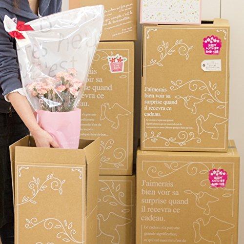 段ボール お花向け 固定スタンド付 調節可 デザイン入り ワイド型 宅配サイズ100/120(20枚...