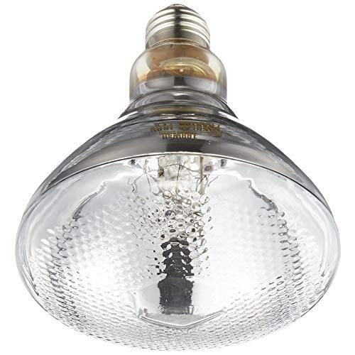 ゼンスイ ソーラーラプター マーキュリーランプ 100W