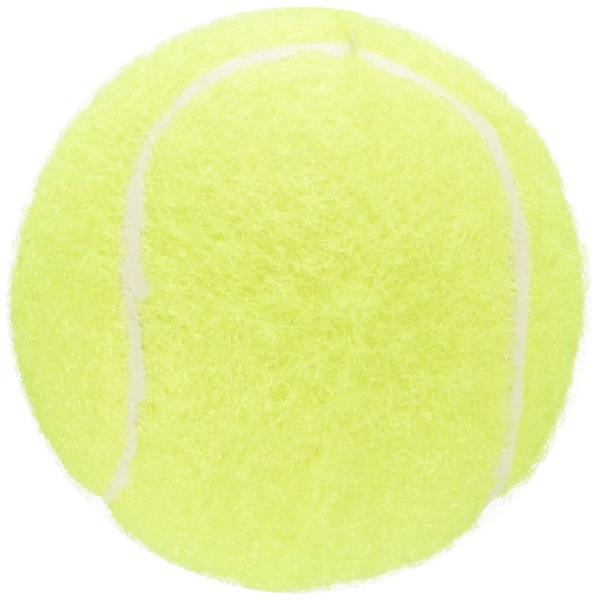 スーパーキャット (Super Cat) 音のなる テニスボール 2個入 S