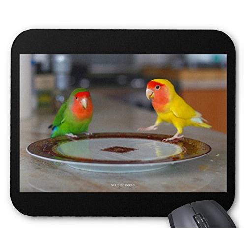 コザクラインコのマウスパッド：フォトパッド（ 世界の野鳥シリーズ ） (B)