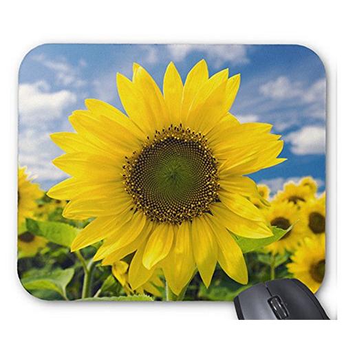 ひまわりと青空のマウスパッド：フォトパッド（世界の花シリーズ） (B)