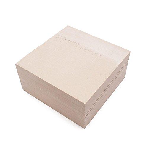 waves ケミカルウッド 420 10x10x5cm