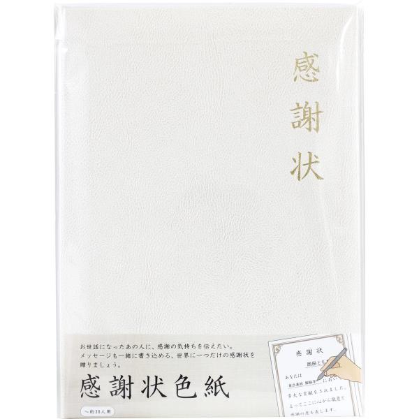 アルタ 色紙 二つ折り 寄せ書き 感謝状 AR0819123 サイズ:約W22 D0.8 H30.6