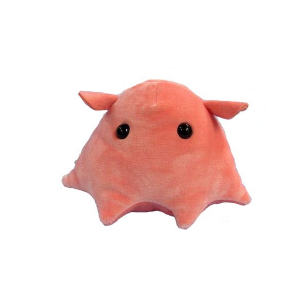 海中散歩 ふわもこぬいぐるみ Sサイズ メンダコ