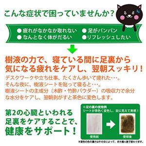 樹液シート 足裏シート 36枚入 (よもぎ)の詳細画像3