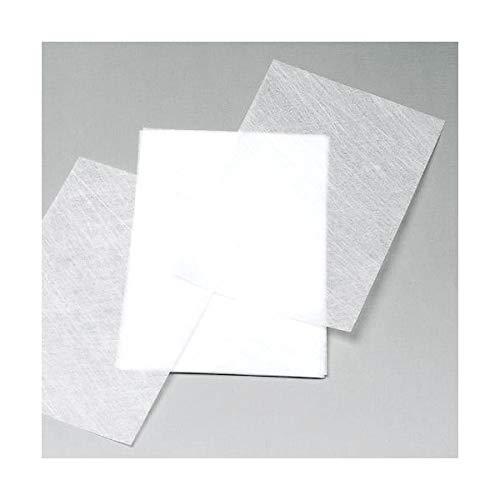 替えフィルター コバエシャッター専用 １０枚入 ２袋