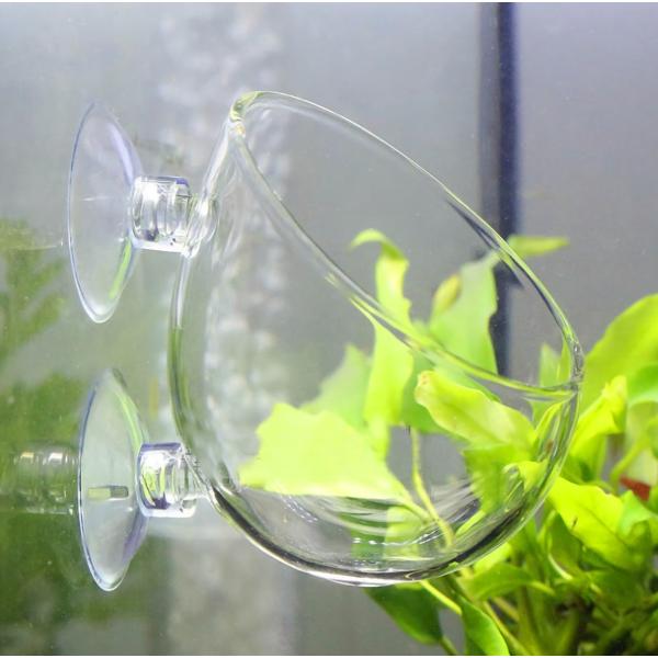 【SRrabbit】おしゃれなスカイガーデン 水槽ポット アクアリウム 水草 グラスポット (1個)