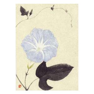 清野蒼花「花と実」絵葉書（37）朝顔 10枚入り