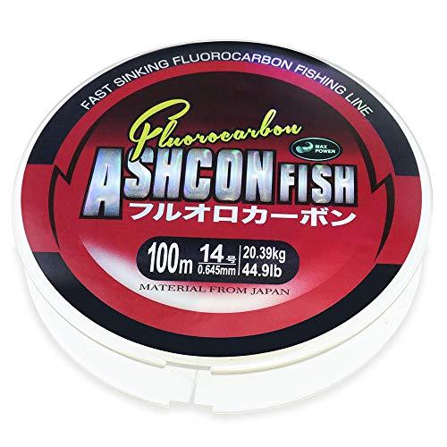 Ashconfish ショックリーダー エクスセンス EX フロロカーボン 100m クリア