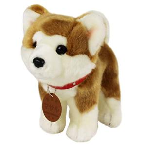 キュート販売 秋田犬マサル ぬいぐるみ 立ちM｜goodzero