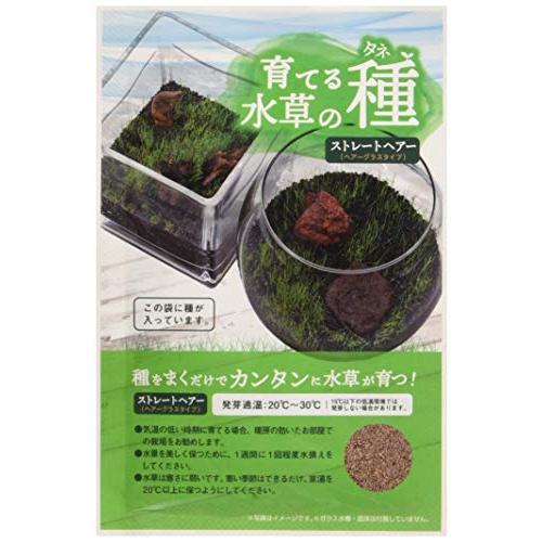 ニッソー 育てる水草の種 ストレートヘアー&amp;ロック