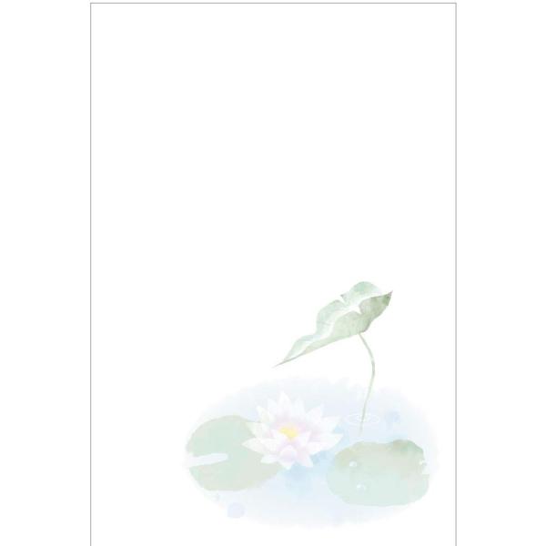 [メイドインたんたん] 官製 10枚 喪中はがき 絵柄のみ印刷済 10枚パック No.k808 ハガ...