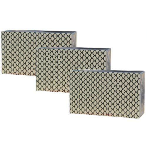 ガラスのウロコ取り LL［60mm×100mm×30mm］×3