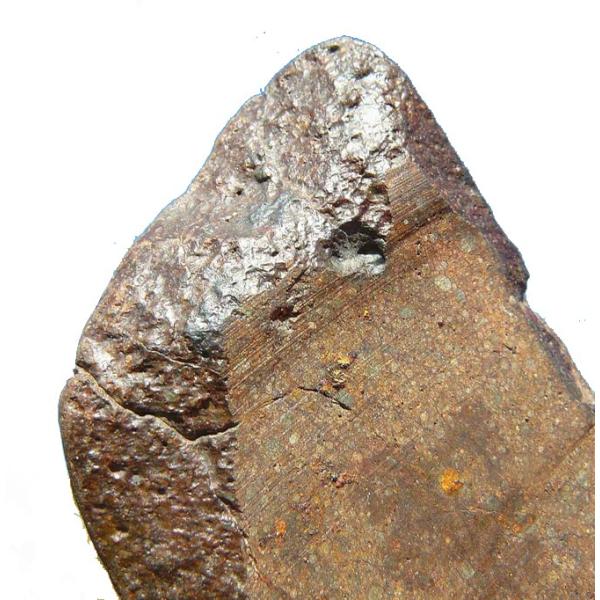 SCIENCE 石質隕石 Ghubara meteorite「グバラ隕石 Ghubara(Chond...