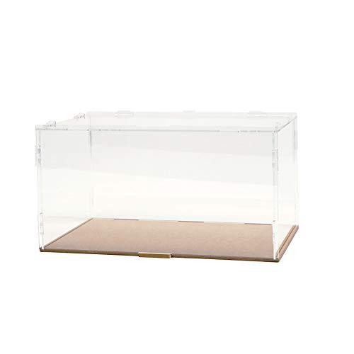 コレクションケースL 165 フルモデルチェンジ版