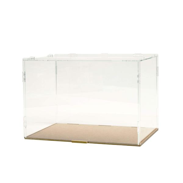 コレクションケースL 215 フルモデルチェンジ版