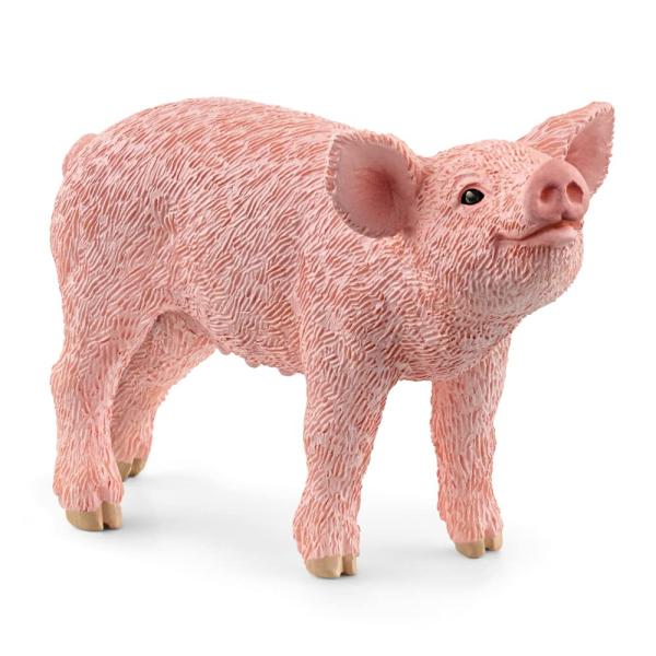 シュライヒ(Schleich) ファームワールド ブタ(仔) 13934